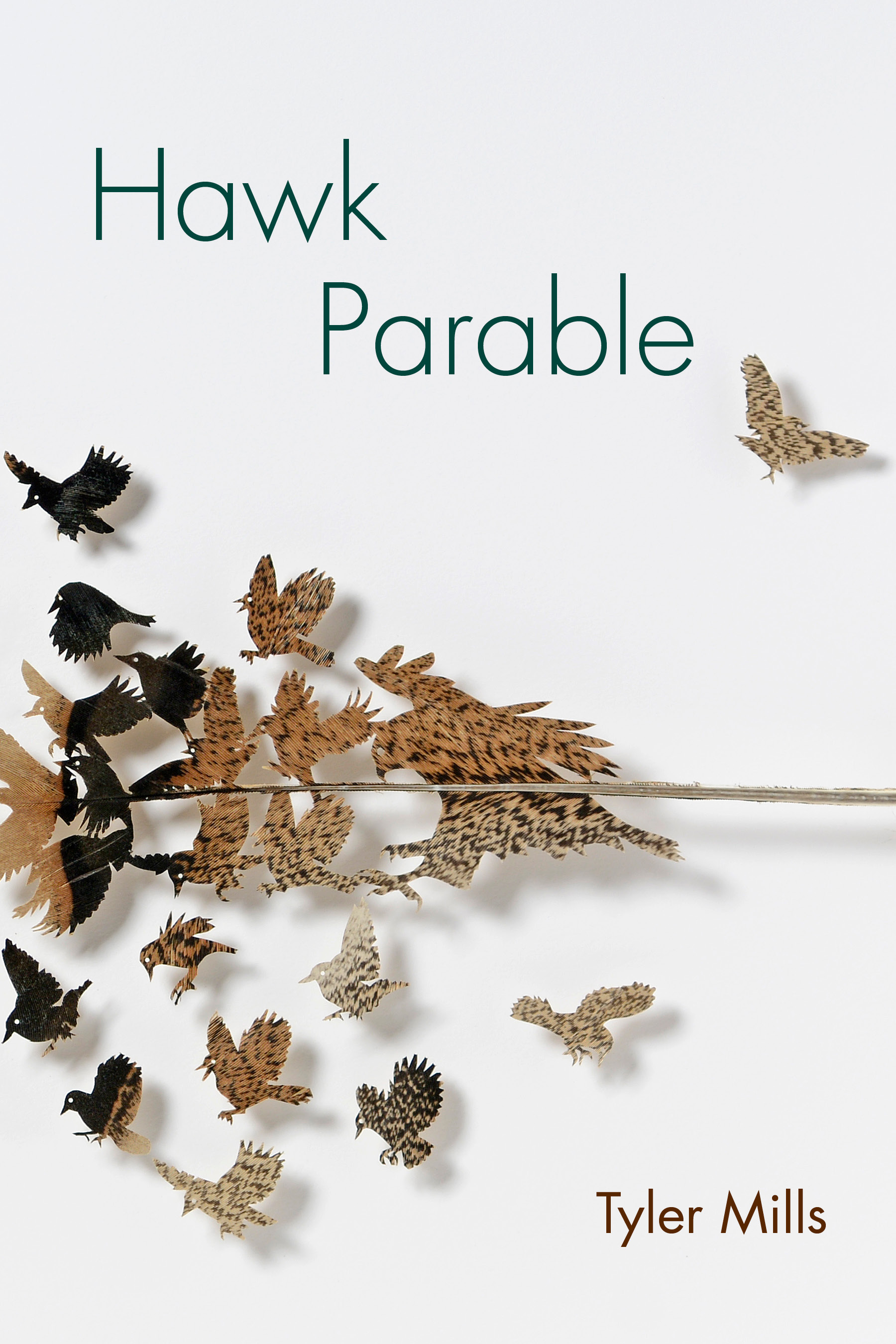 Hawk Parable Cover